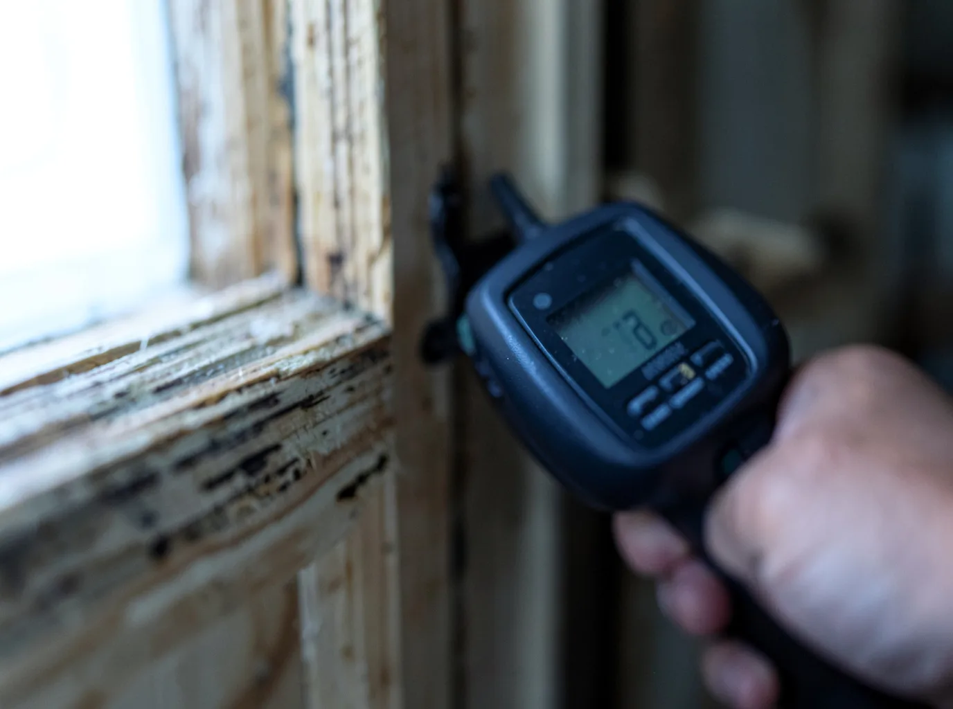 Moisture Inspection And Documentation in Middlebrook, VA